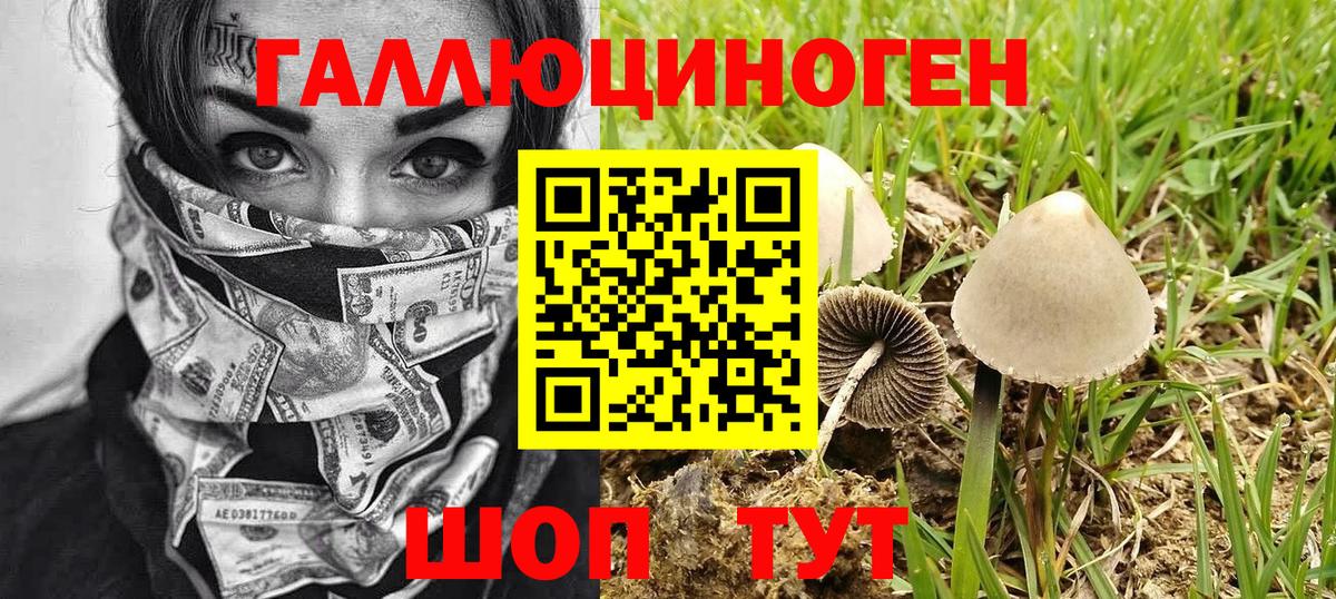 Псилоцибиновые грибы Magic Shrooms  Вход с VPN  Ялуторовск 